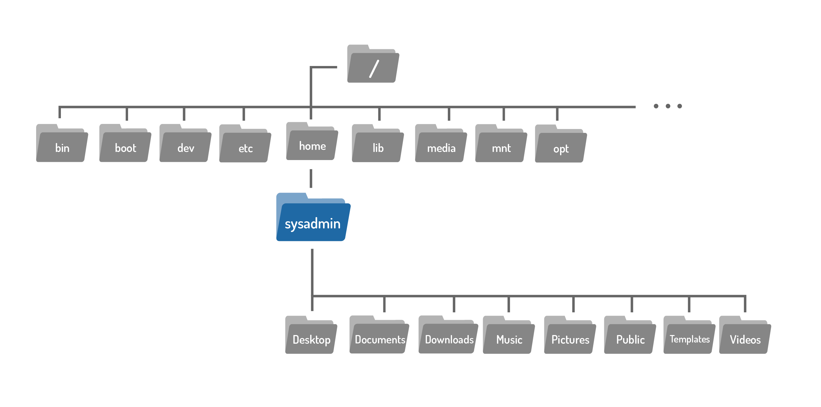 Filesystem showing root directory at the top and directories underneath, including home directory. Under the home directory is a highlighted sysadmin directory and the directories inside of sysadmin (i.e., Documents) shown below