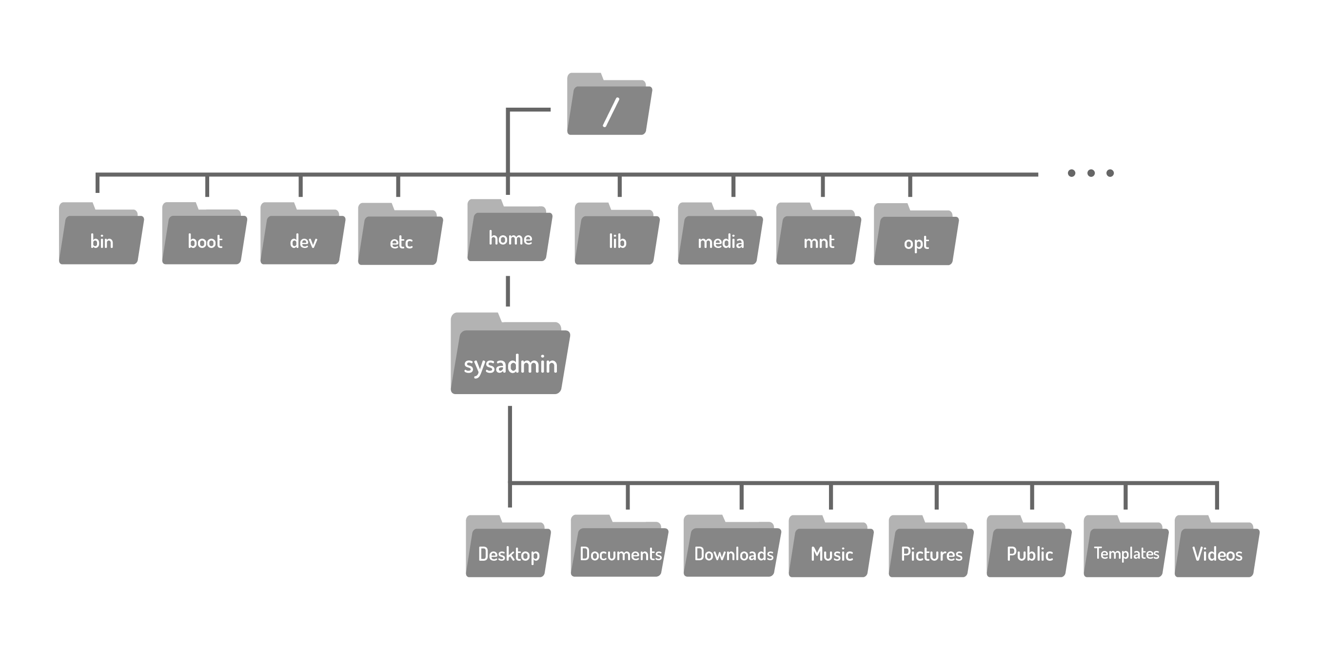 Filesystem hierarchy with root directory at the top. No highlighted directories.