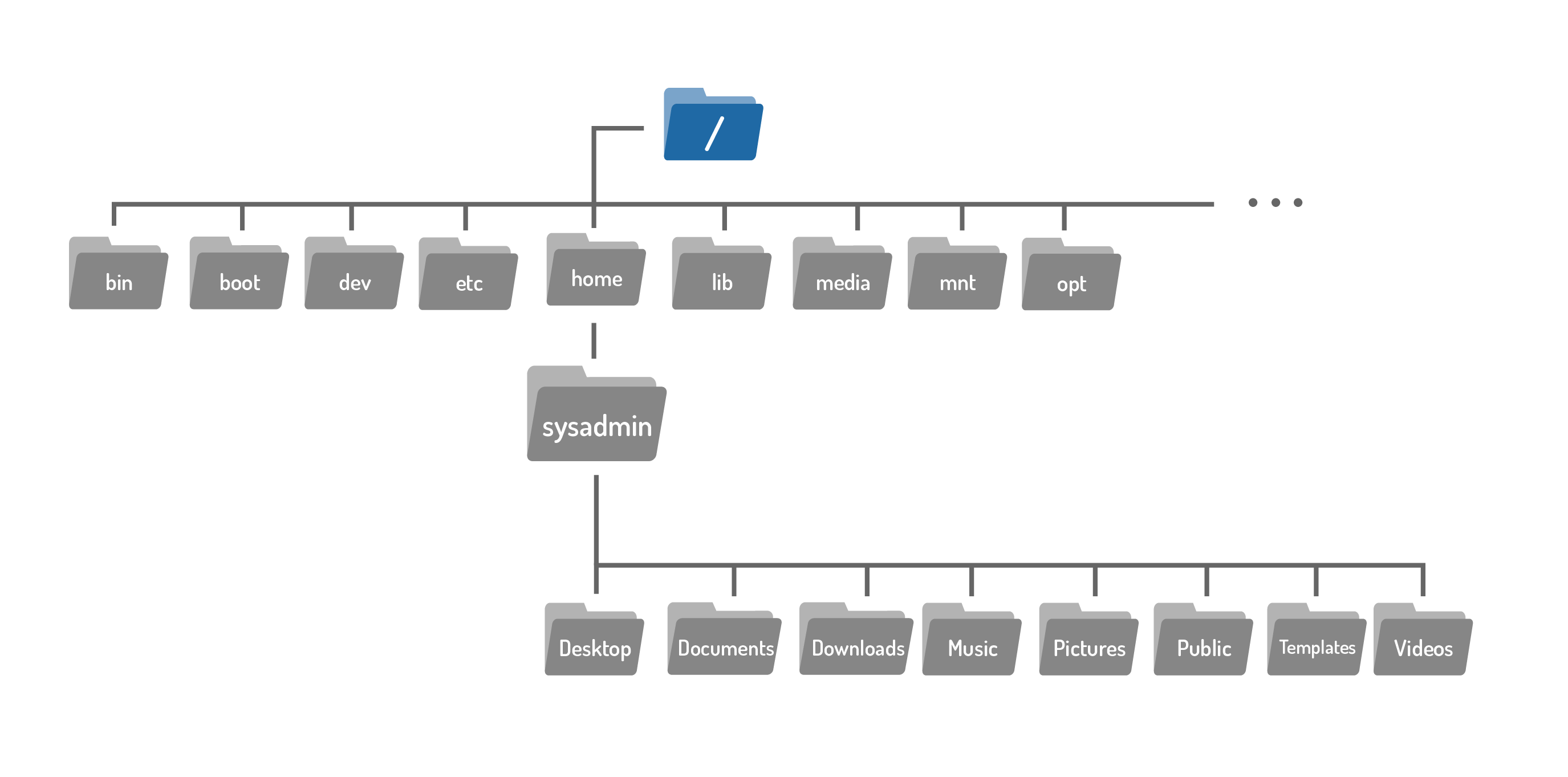 Filesystem hierarchy with highlighted root directory at the top.