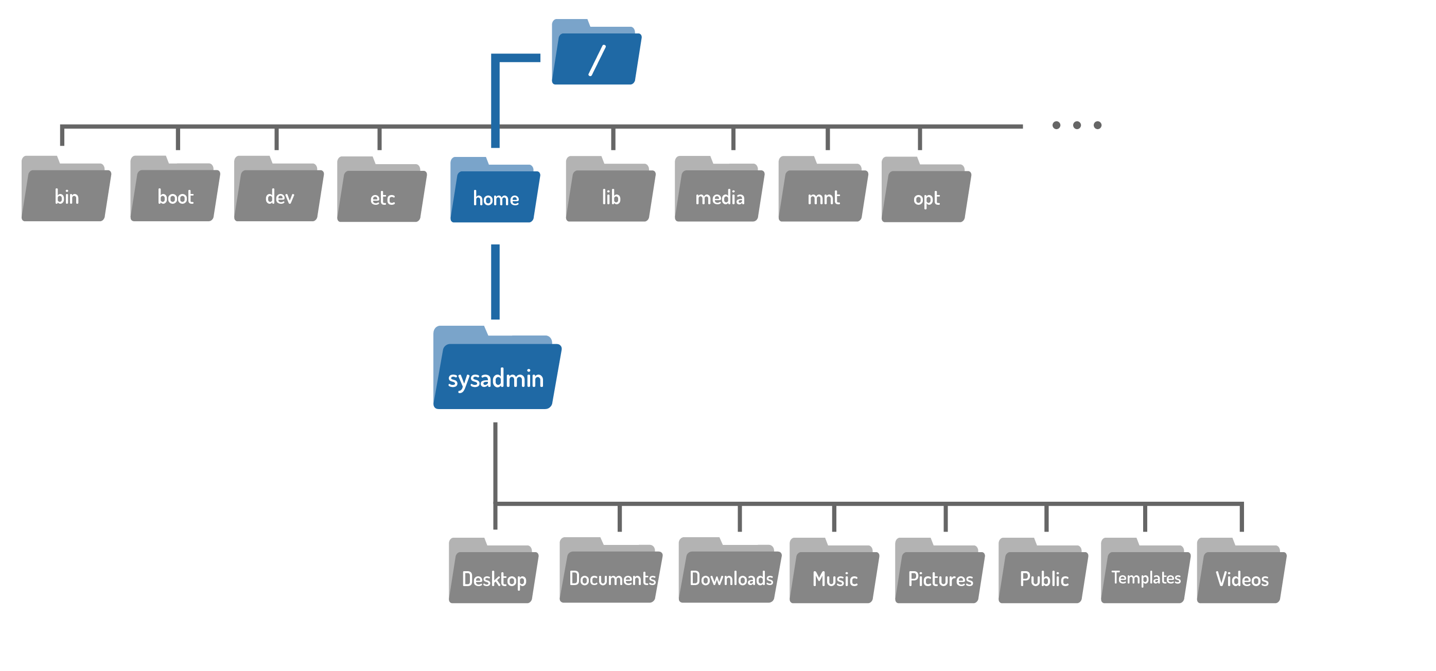 Filesystem hierarchy with highlighted root directory at the top, highlighted home directory underneath and highlighted sysadmin directory under home directory.